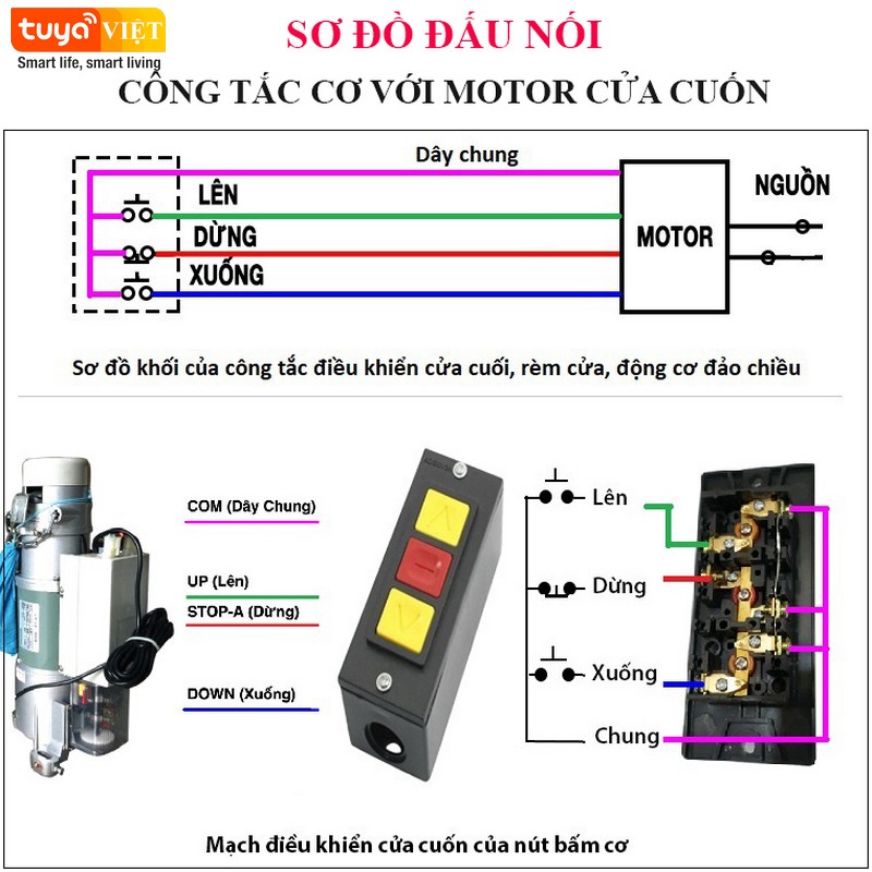 Dau noi cong tac cua cuon Tuya